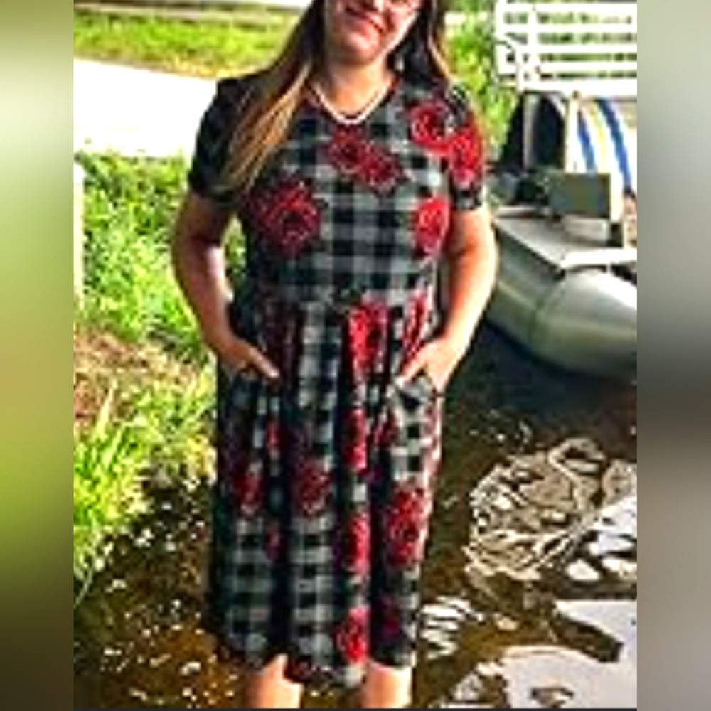 Lularoe Amelia plaid rose dress